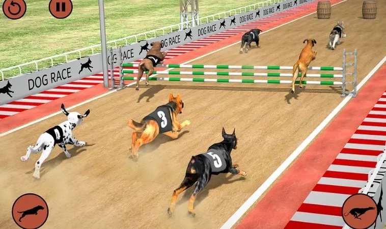 Hướng Dẫn Chơi Game Nhanh Đua Chó Tại Jun88 Hiệu Quả Nhất 2 Giao diện chơi game nhanh Đua Chó tại Jun88